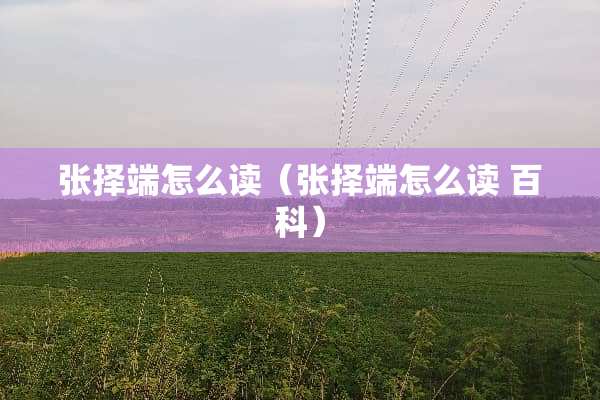 张择端怎么读（张择端怎么读 百科）