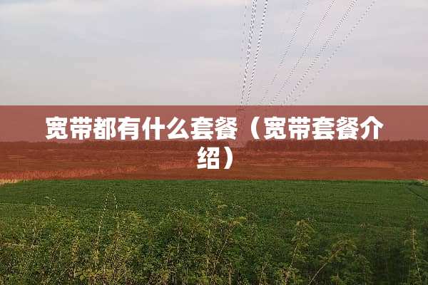 宽带都有什么套餐（宽带套餐介绍）
