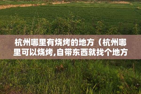 杭州哪里有烧烤的地方（杭州哪里可以烧烤,自带东西就找个地方）