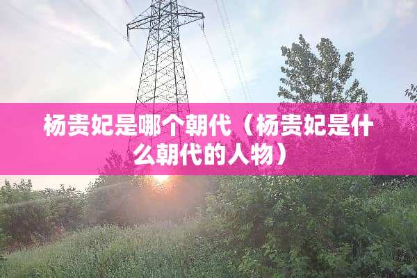 杨贵妃是哪个朝代（杨贵妃是什么朝代的人物）