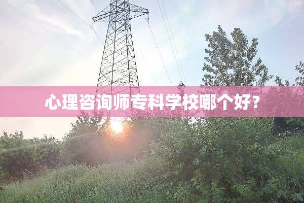 心理咨询师专科学校哪个好？