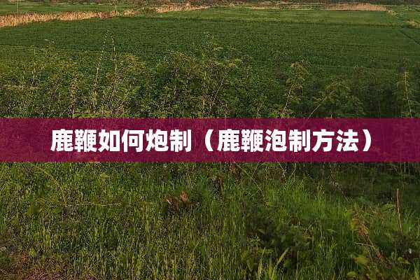 鹿鞭如何*制（鹿鞭泡制方法）