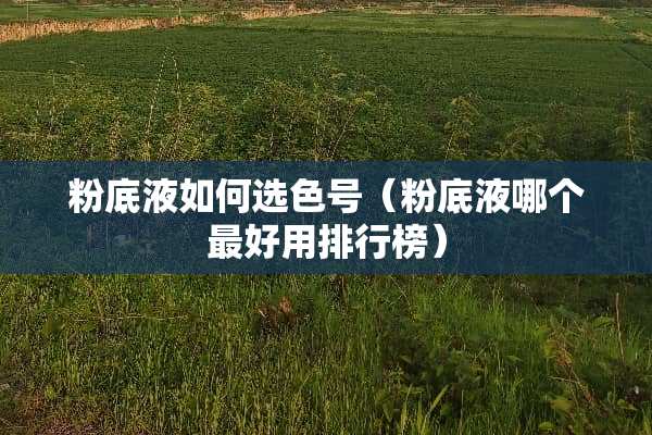 粉底液如何选色号（粉底液哪个最好用排行榜）