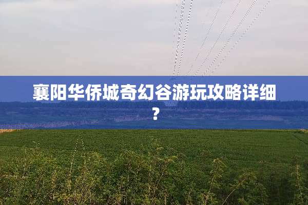 襄阳华侨城奇幻谷游玩攻略详细？