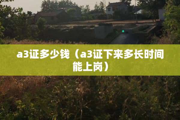 a3证多少钱（a3证下来多长时间能上岗）