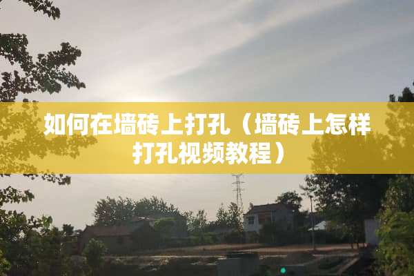 如何在墙砖上打孔（墙砖上怎样打孔视频教程）