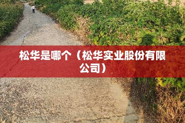松华是哪个（松华实业股份有限公司）
