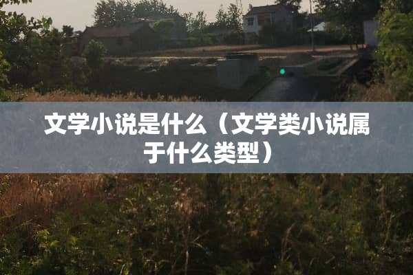 文学小说是什么（文学类小说属于什么类型）