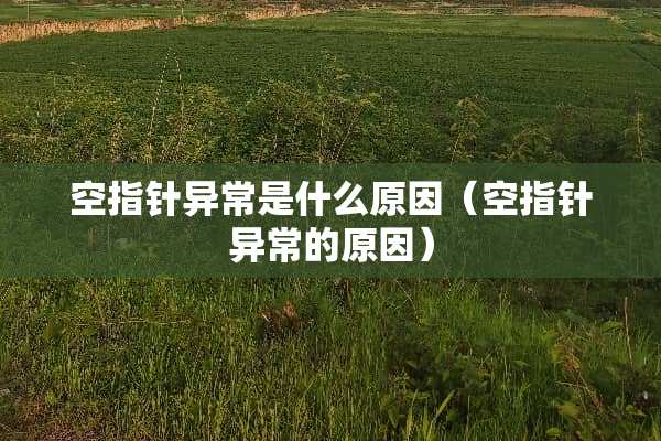 空指针异常是什么原因（空指针异常的原因）