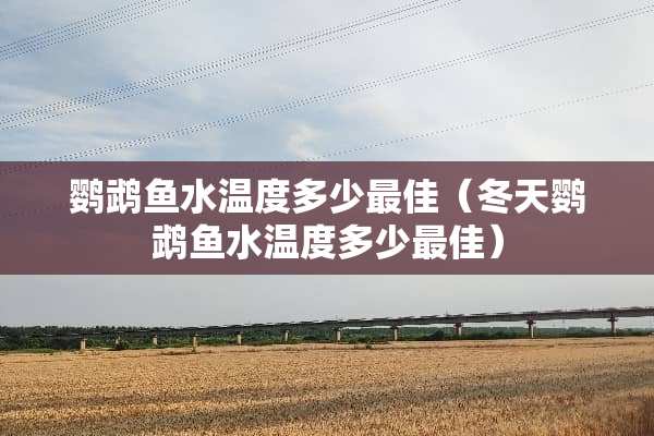 鹦鹉鱼水温度多少最佳（冬天鹦鹉鱼水温度多少最佳）