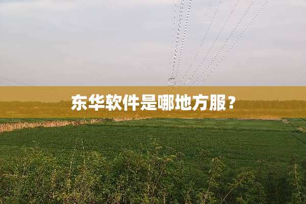 东华软件是哪地方服？