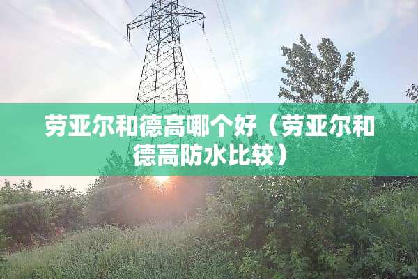 劳亚尔和德高哪个好（劳亚尔和德高防水比较）