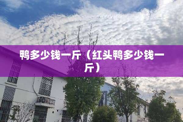 鸭多少钱一斤（红头鸭多少钱一斤）