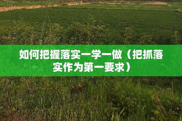 如何把握落实一学一做（把抓落实作为第一要求）