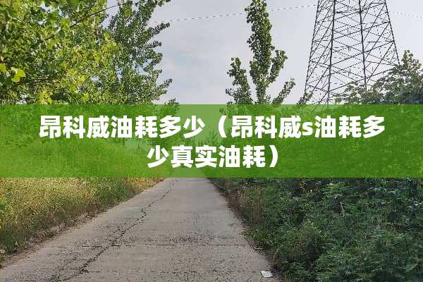 昂科威油耗多少（昂科威s油耗多少真实油耗）