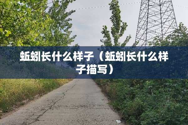 蚯蚓长什么样子（蚯蚓长什么样子描写）