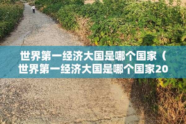 世界第一经济大国是哪个国家（世界第一经济大国是哪个国家2020）