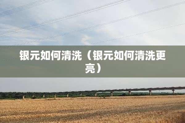 银元如何清洗（银元如何清洗更亮）