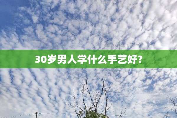 30岁男人学什么手艺好？