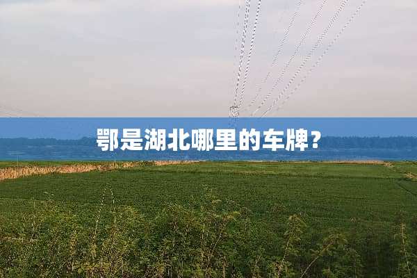 鄂是湖北哪里的车牌？