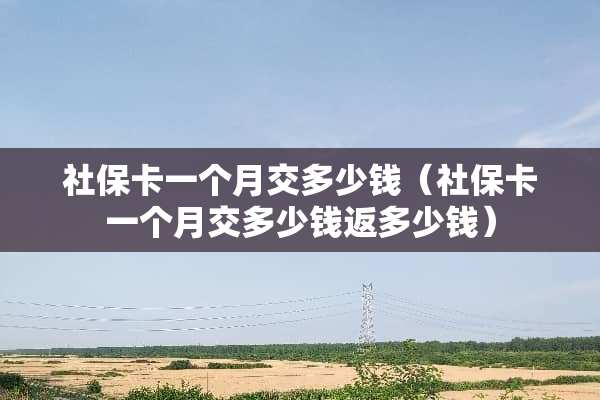 社保卡一个月交多少钱（社保卡一个月交多少钱返多少钱）