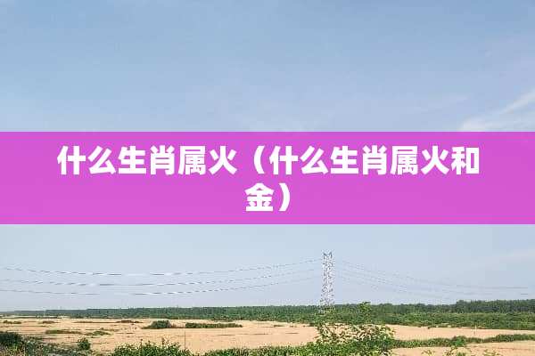 什么生肖属火（什么生肖属火和金）