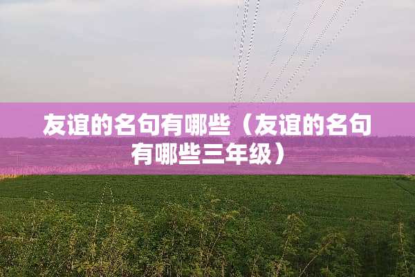 友谊的名句有哪些（友谊的名句有哪些三年级）
