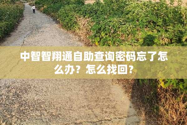 中智智翔通自助查询密码忘了怎么办？怎么找回？
