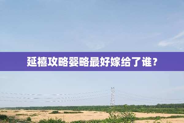延禧攻略婴略最好嫁给了谁？