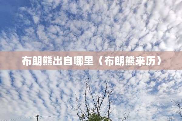 布朗熊出自哪里（布朗熊来历）
