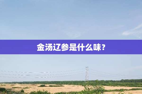 金汤辽参是什么味？