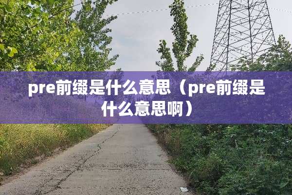 pre前缀是什么意思（pre前缀是什么意思啊）