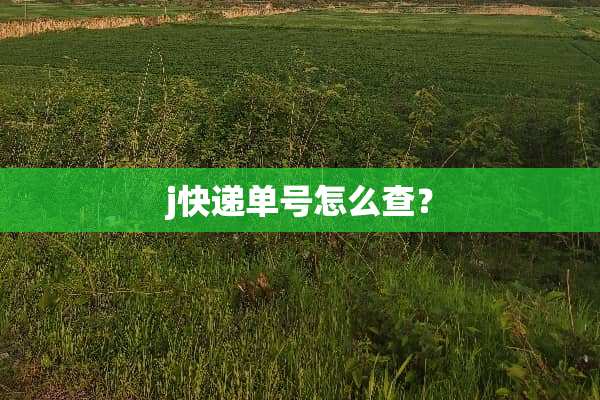j快递单号怎么查？