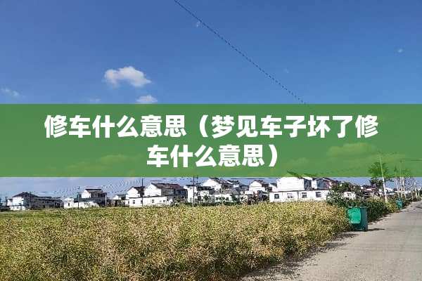 修车什么意思（梦见车子坏了修车什么意思）