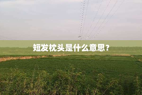 短发枕头是什么意思？