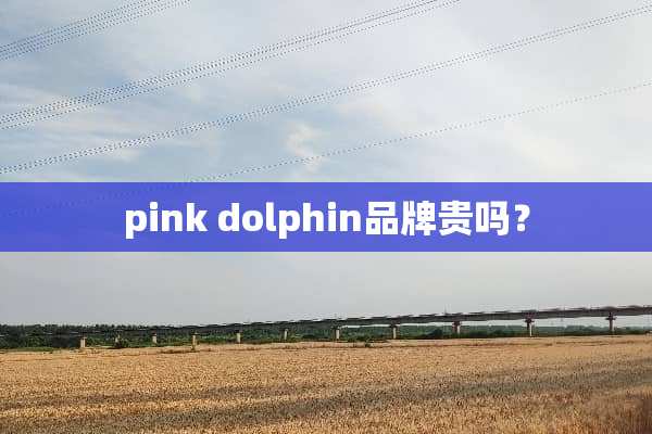 pink dolphin品牌贵吗？