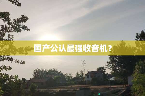 国产公认最强收音机？