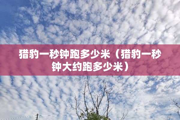 **一秒钟跑多少米（**一秒钟大约跑多少米）