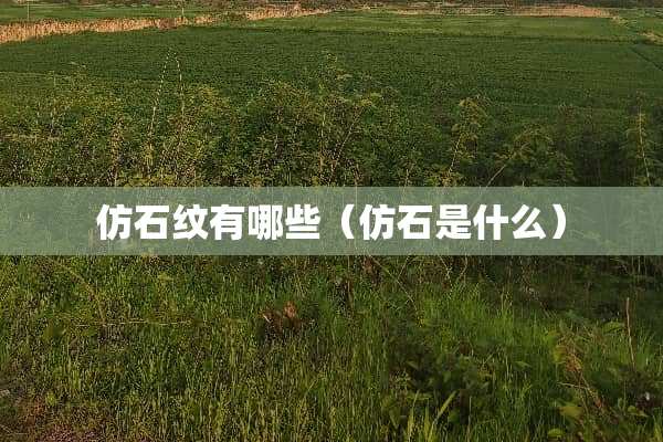 仿石纹有哪些（仿石是什么）