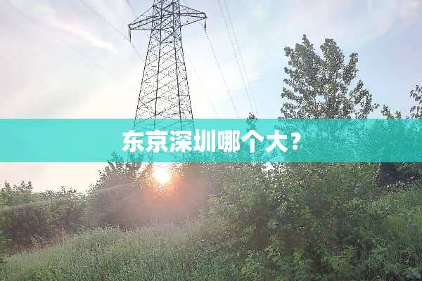 东京深圳哪个大？