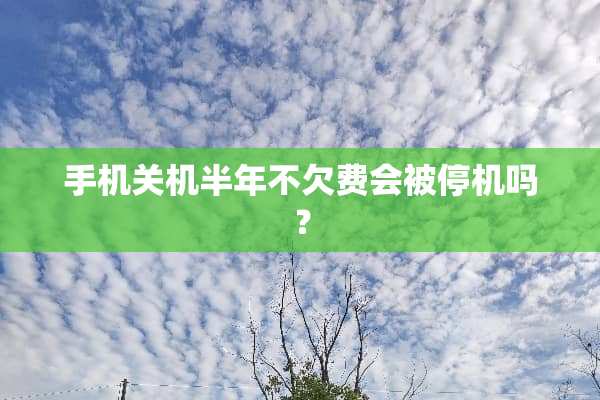 手机关机半年不欠费会被停机吗？