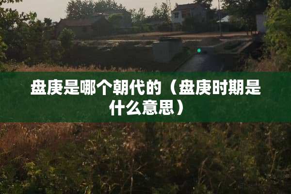 盘庚是哪个朝代的（盘庚时期是什么意思）