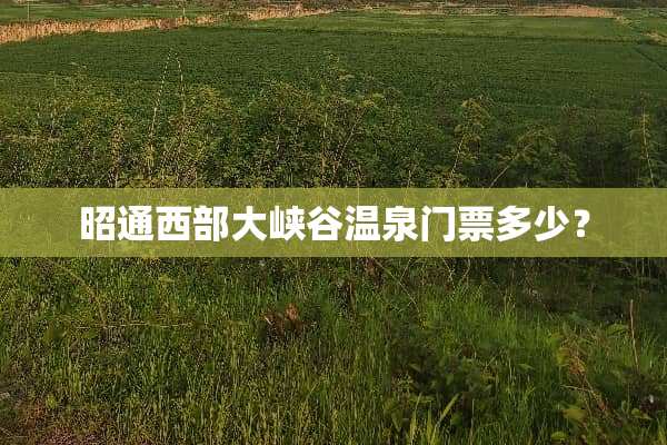 昭通西部大峡谷温泉门票多少？