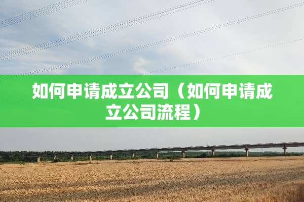 如何申请成立公司（如何申请成立公司流程）
