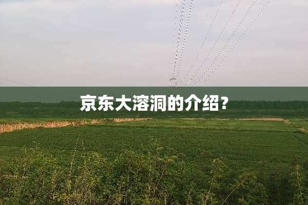 京东大溶洞的介绍？
