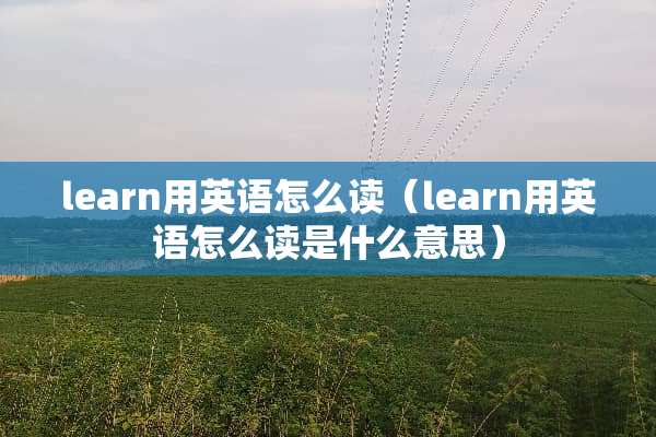 learn用英语怎么读（learn用英语怎么读是什么意思）