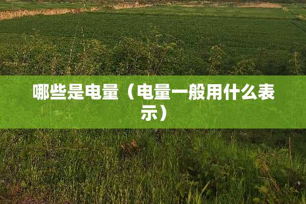 哪些是电量（电量一般用什么表示）