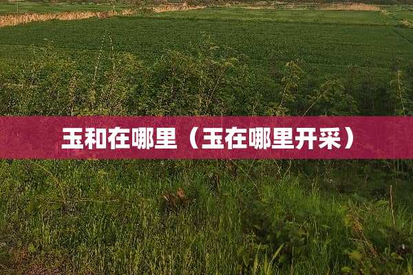 玉和在哪里（玉在哪里开采）