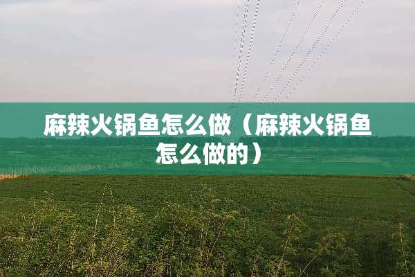 麻辣火锅鱼怎么做（麻辣火锅鱼怎么做的）