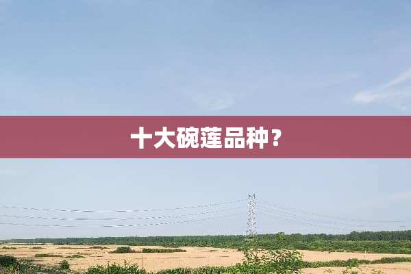 十大碗莲品种？